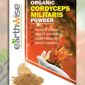 Organic Cordyceps Militaris Powder